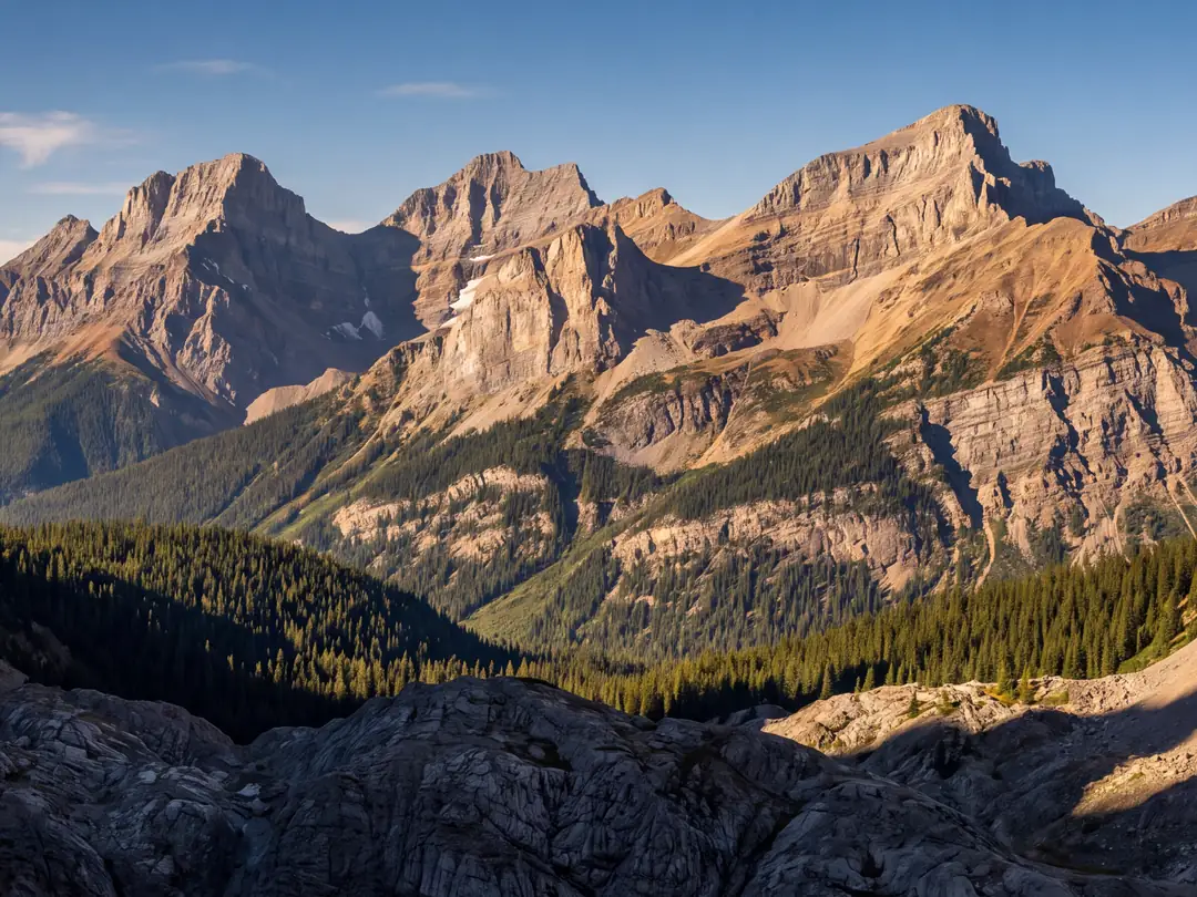 Mountain peaks of the Canadian Rockies at golden hour above a forested valley